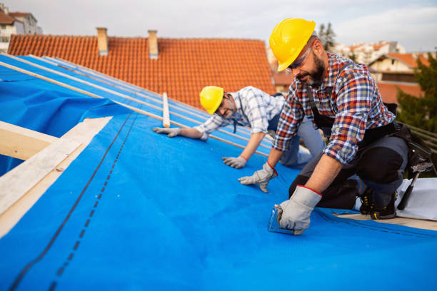 Best Commercial Roof Installation  in Blackstone, VA