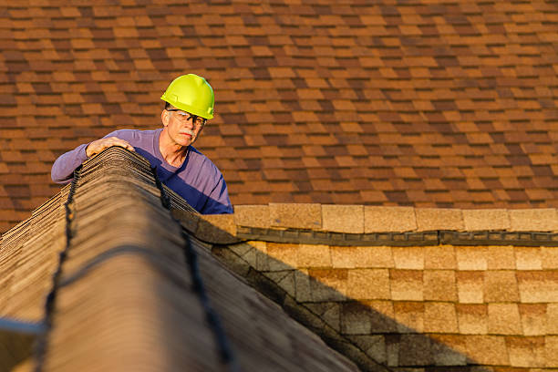 Best Roof Gutter Cleaning  in Blackstone, VA