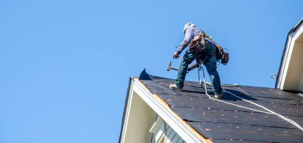 Best Local Roofing Companies  in Blackstone, VA