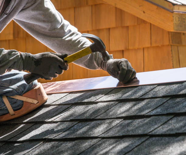 Best Roof Waterproofing Services  in Blackstone, VA